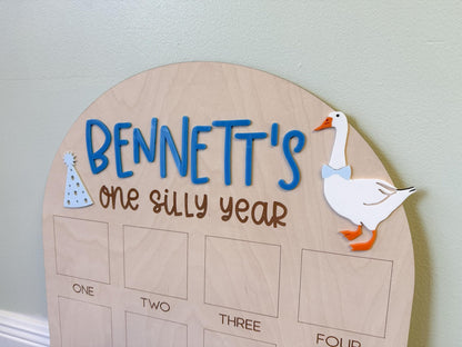 One Silly Goose First Birthday Photo Board, One Silly Year First Birthday, One Year Of Vintage Goose Milestone Sign First Year Photo Display