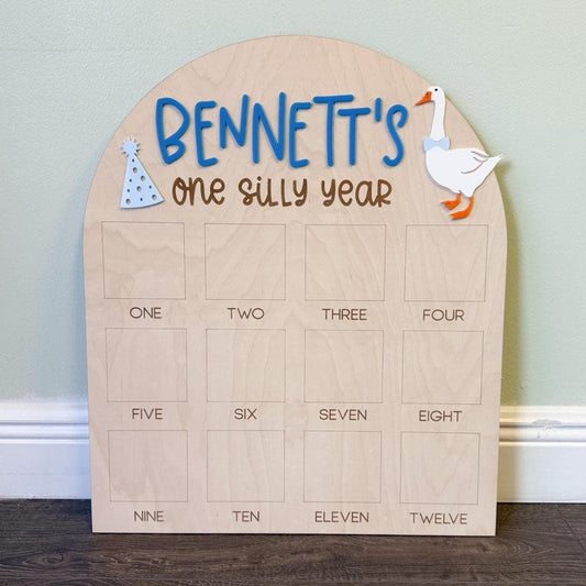 One Silly Goose First Birthday Photo Board, One Silly Year First Birthday, One Year Of Vintage Goose Milestone Sign First Year Photo Display