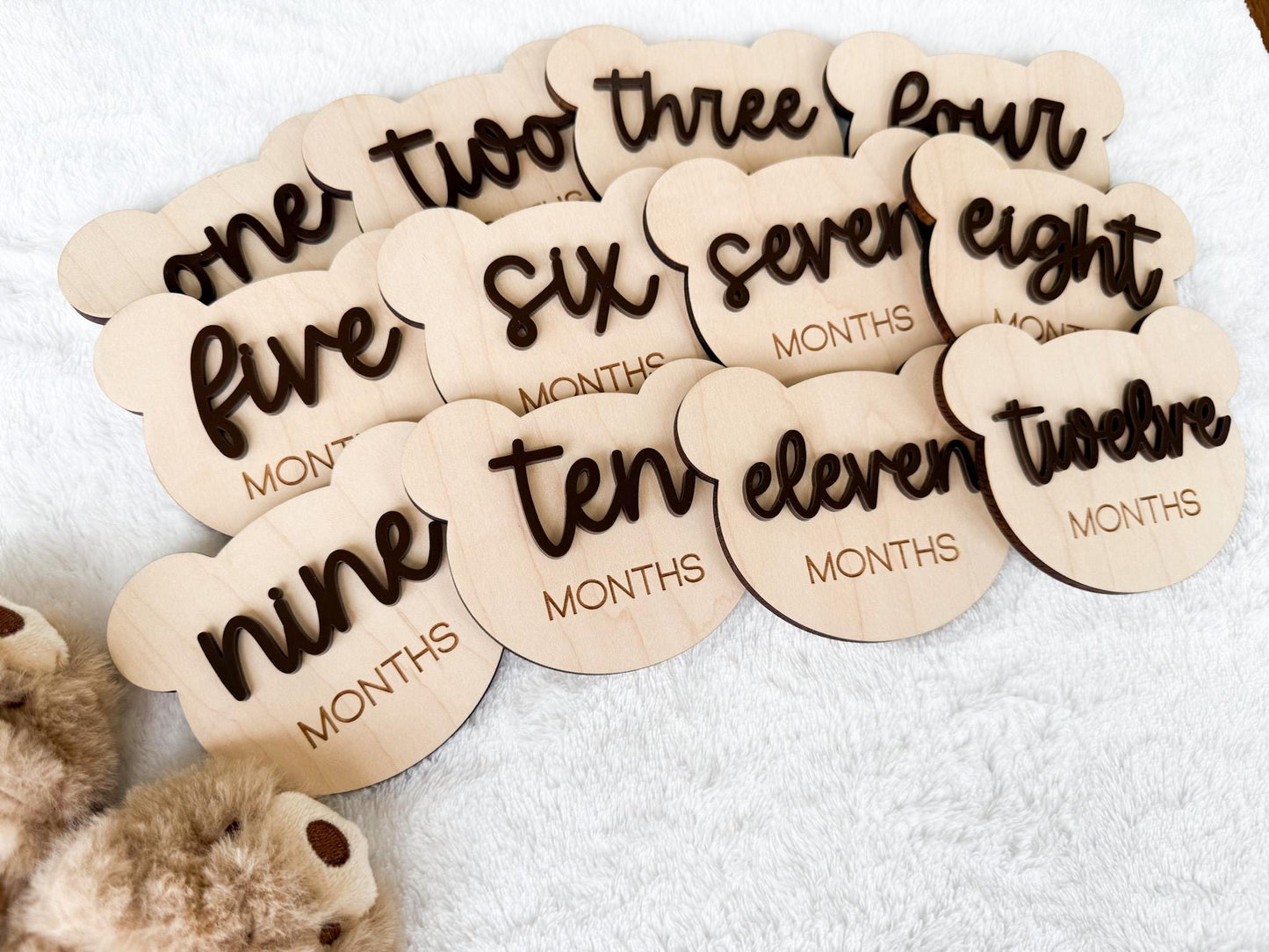 Teddy Bear Monthly Milestone Marker, Interchangeable Month Baby Bear Milestone cards, Monthly Wooden Milestone Discs, Baby Photo Signs