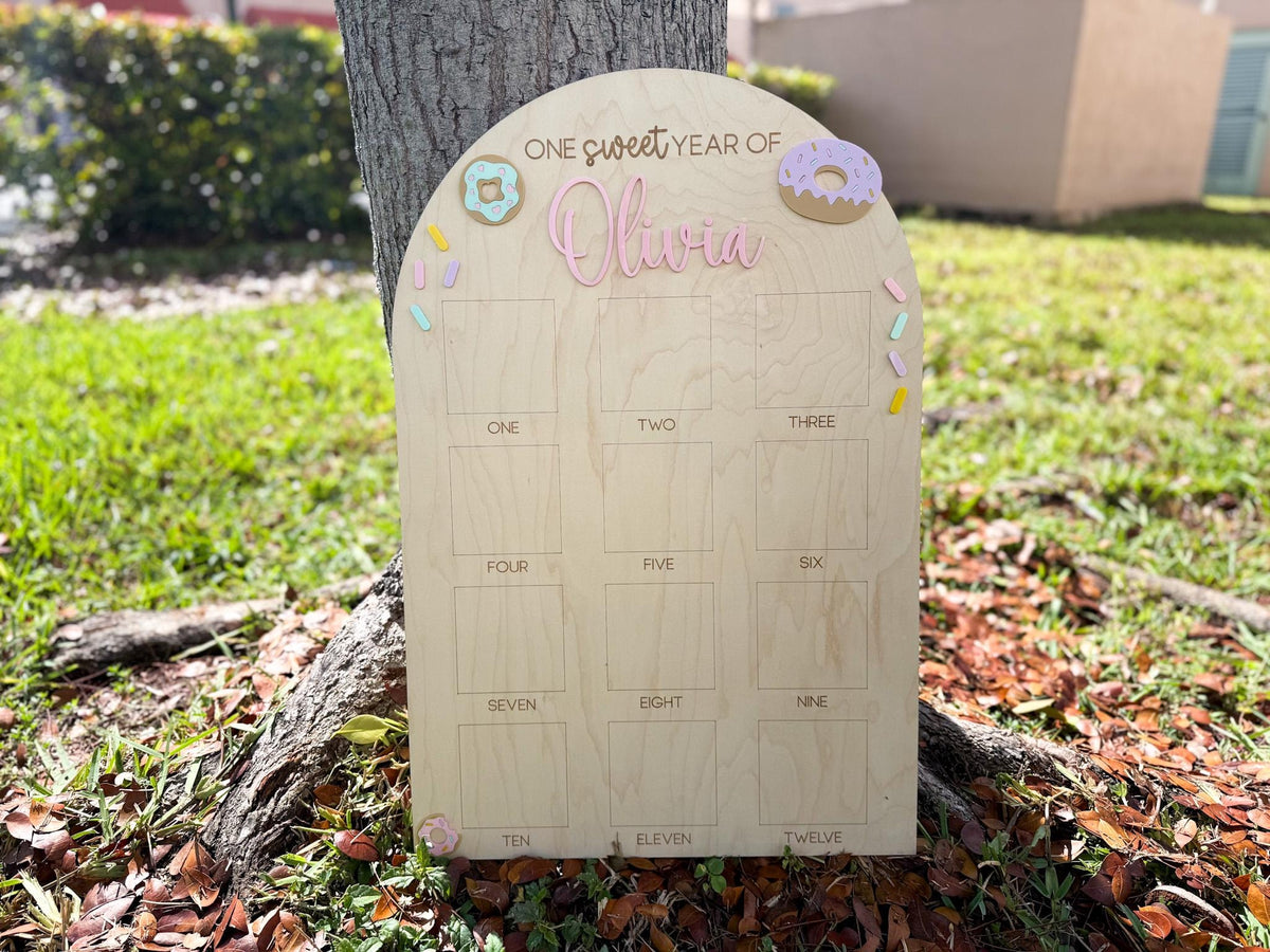 One Sweet Year Photo Board, Donut Birthday Party, Sweets Theme First Birthday Monthly Photo Board, Sweet One First Year Photo Display