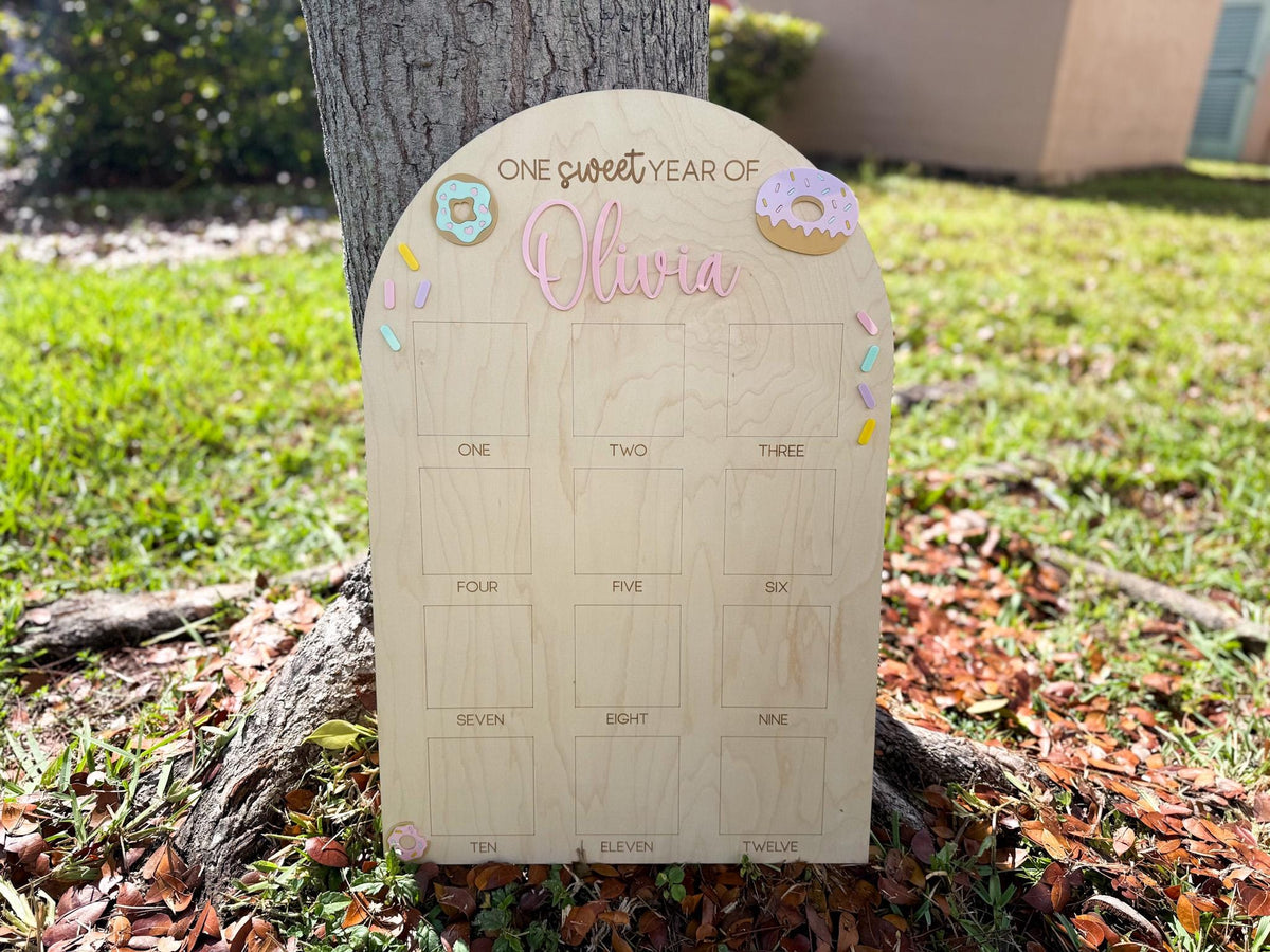 One Sweet Year Photo Board, Donut Birthday Party, Sweets Theme First Birthday Monthly Photo Board, Sweet One First Year Photo Display