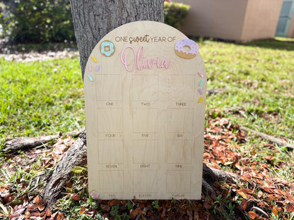 One Sweet Year Photo Board, Donut Birthday Party, Sweets Theme First Birthday Monthly Photo Board, Sweet One First Year Photo Display