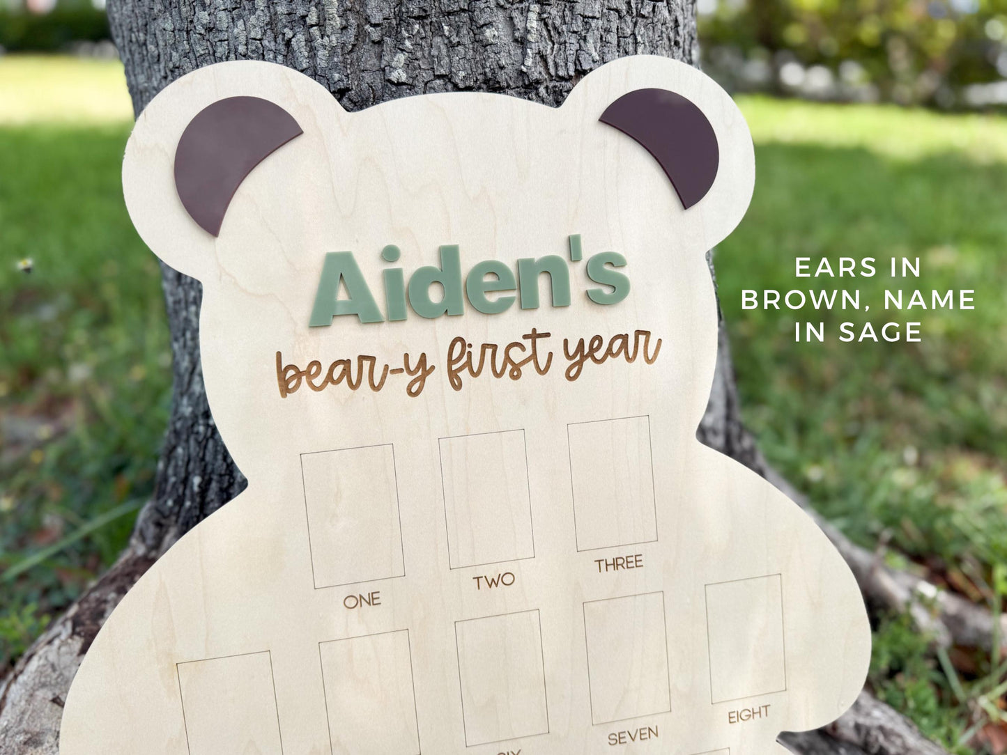 Beary First Birthday One Year of Photo Board, Beary First Year Board, Teddy Bear Birthday Theme, Bear Theme 1st Birthday Photo Collage