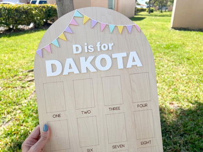 My First year board, One Year of Photo Board, First Birthday Sign Birthday Bunting Banner, First Birthday Decor, Monthly Baby Photo Display