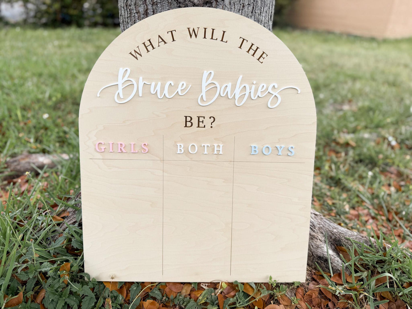 Gender Reveal Voting Board, Boy or Girl Twin Gender Guessing Game Sign, He or She What Will Twin Babies Be, Twin Gender Reveal Party Ideas