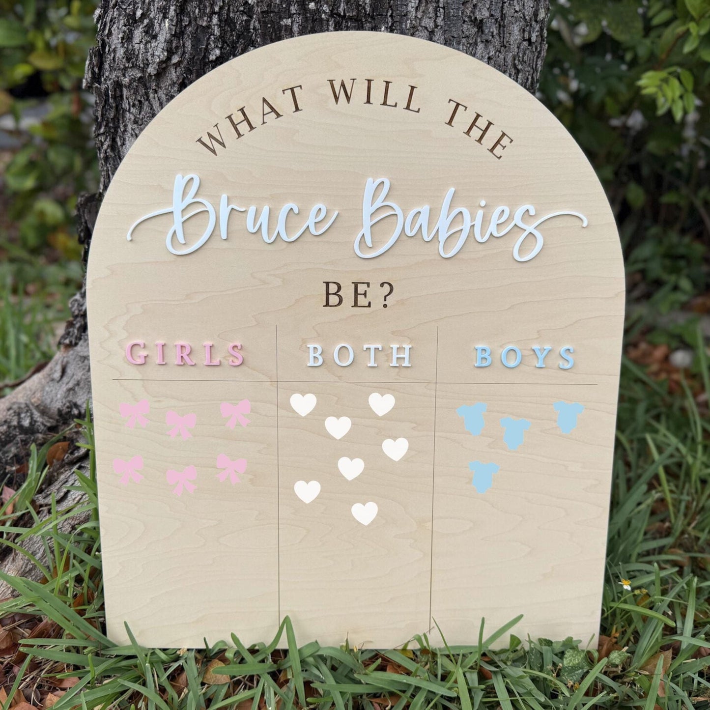 Gender Reveal Voting Board, Boy or Girl Twin Gender Guessing Game Sign, He or She What Will Twin Babies Be, Twin Gender Reveal Party Ideas