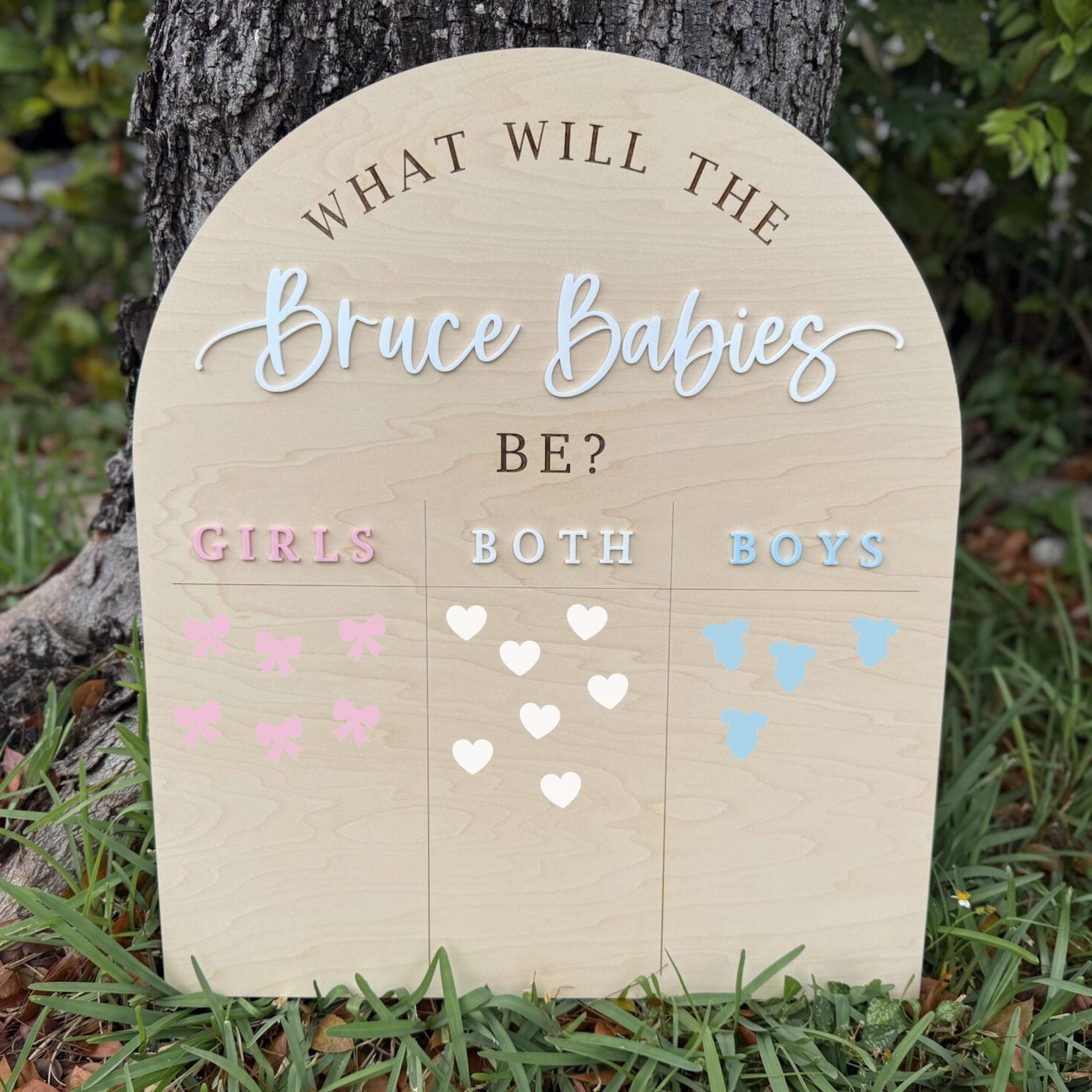 Gender Reveal Voting Board, Boy or Girl Twin Gender Guessing Game Sign, He or She What Will Twin Babies Be, Twin Gender Reveal Party Ideas