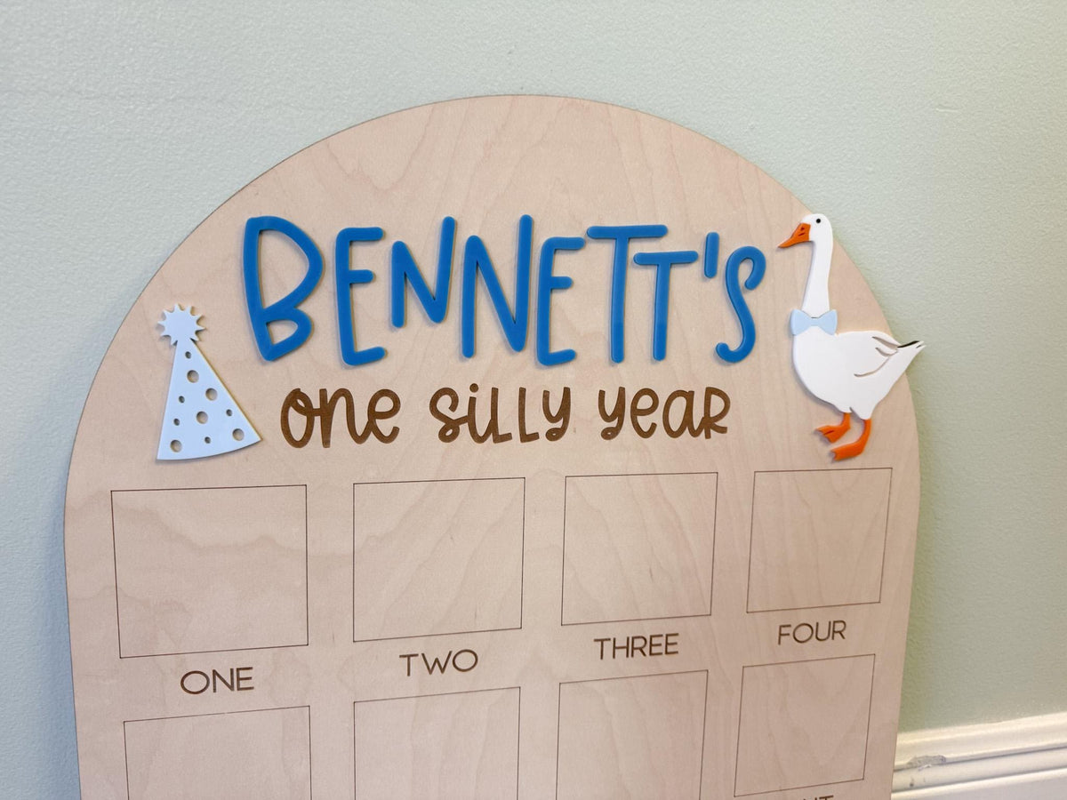 One Silly Goose First Birthday Photo Board, One Silly Year First Birthday, One Year Of Vintage Goose Milestone Sign First Year Photo Display