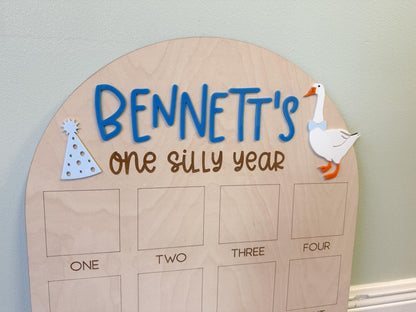 One Silly Goose First Birthday Photo Board, One Silly Year First Birthday, One Year Of Vintage Goose Milestone Sign First Year Photo Display