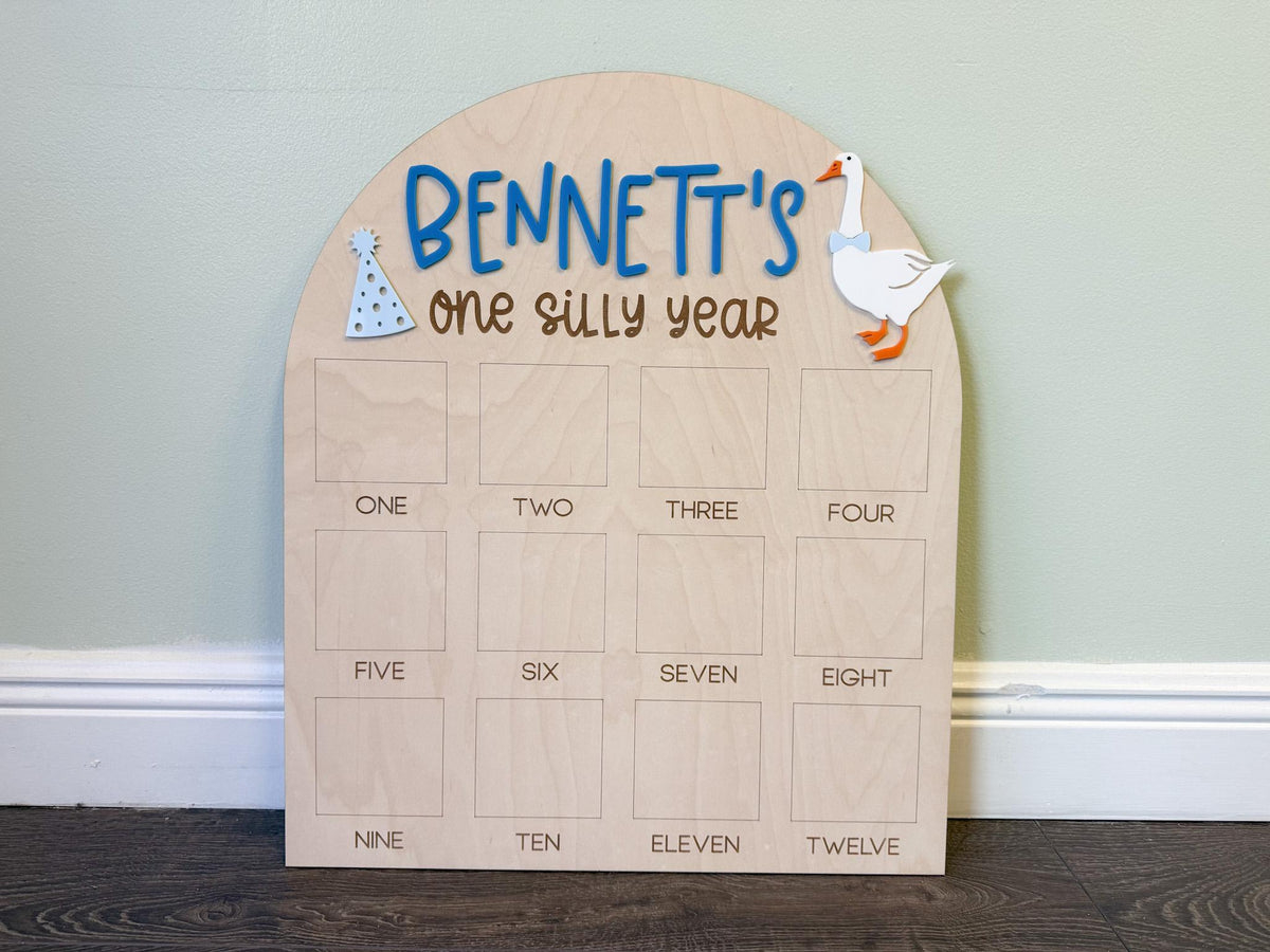 One Silly Goose First Birthday Photo Board, One Silly Year First Birthday, One Year Of Vintage Goose Milestone Sign First Year Photo Display