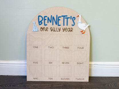 One Silly Goose First Birthday Photo Board, One Silly Year First Birthday, One Year Of Vintage Goose Milestone Sign First Year Photo Display