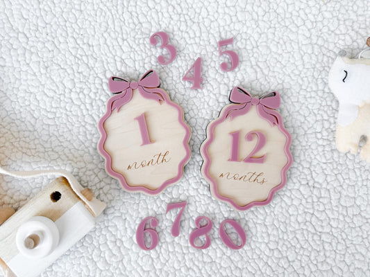 Baby Monthly Milestone Signs, Bow Milestone Cards for Girls, Monthly Baby Photo Props, Milestone Plaques for Babies, Baby Girl Milestone Set