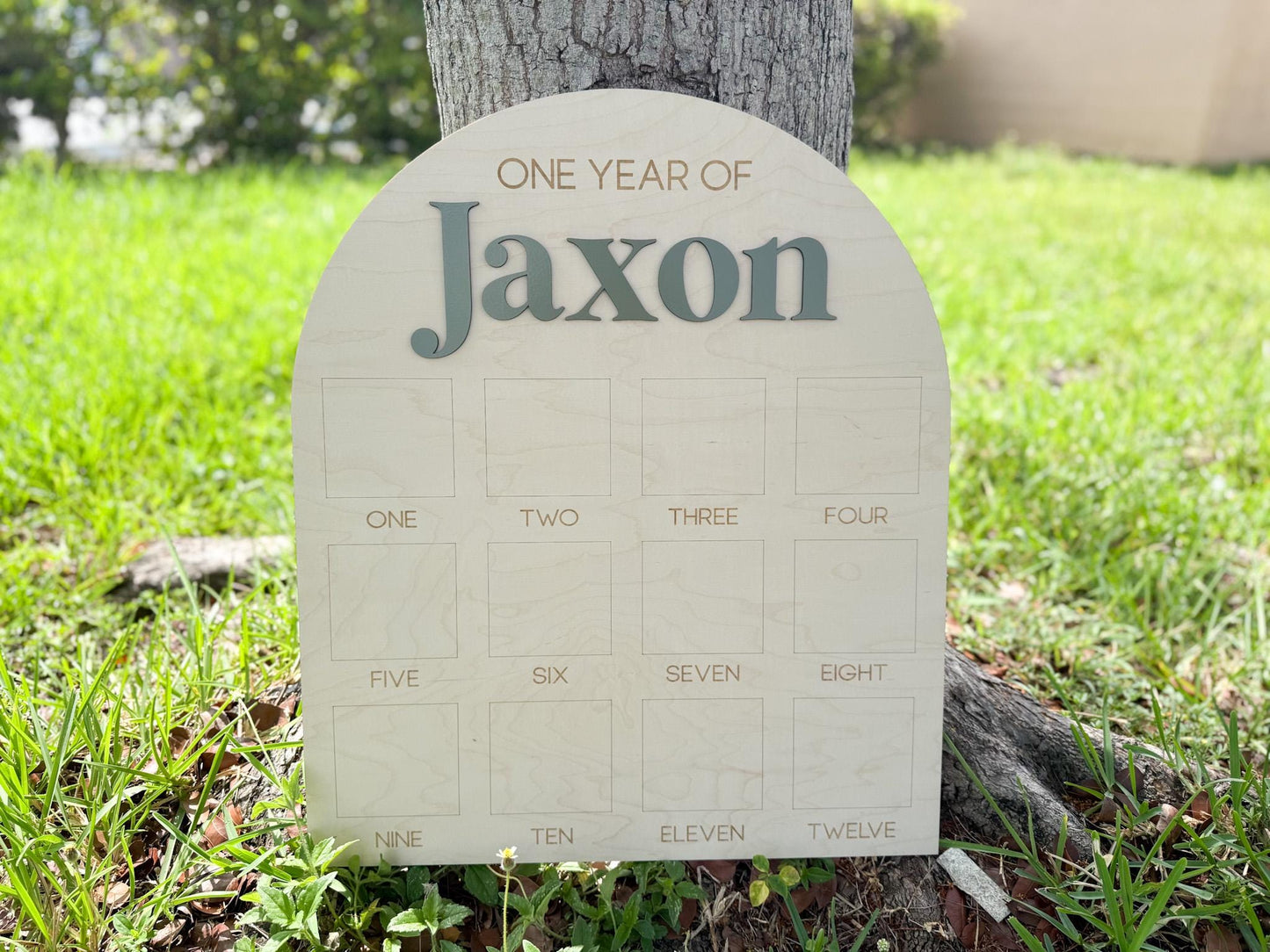 First Year Photo Board, One Year of Photo Board, Baby's my first year sign, 12 month frame, Birthday Decor, 1st Birthday Photo Collage,