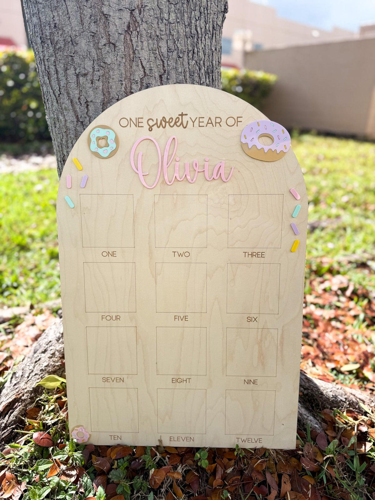 One Sweet Year Photo Board, Donut Birthday Party, Sweets Theme First Birthday Monthly Photo Board, Sweet One First Year Photo Display