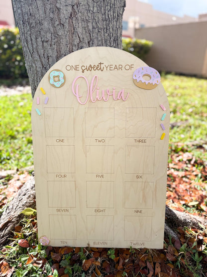 One Sweet Year Photo Board, Donut Birthday Party, Sweets Theme First Birthday Monthly Photo Board, Sweet One First Year Photo Display
