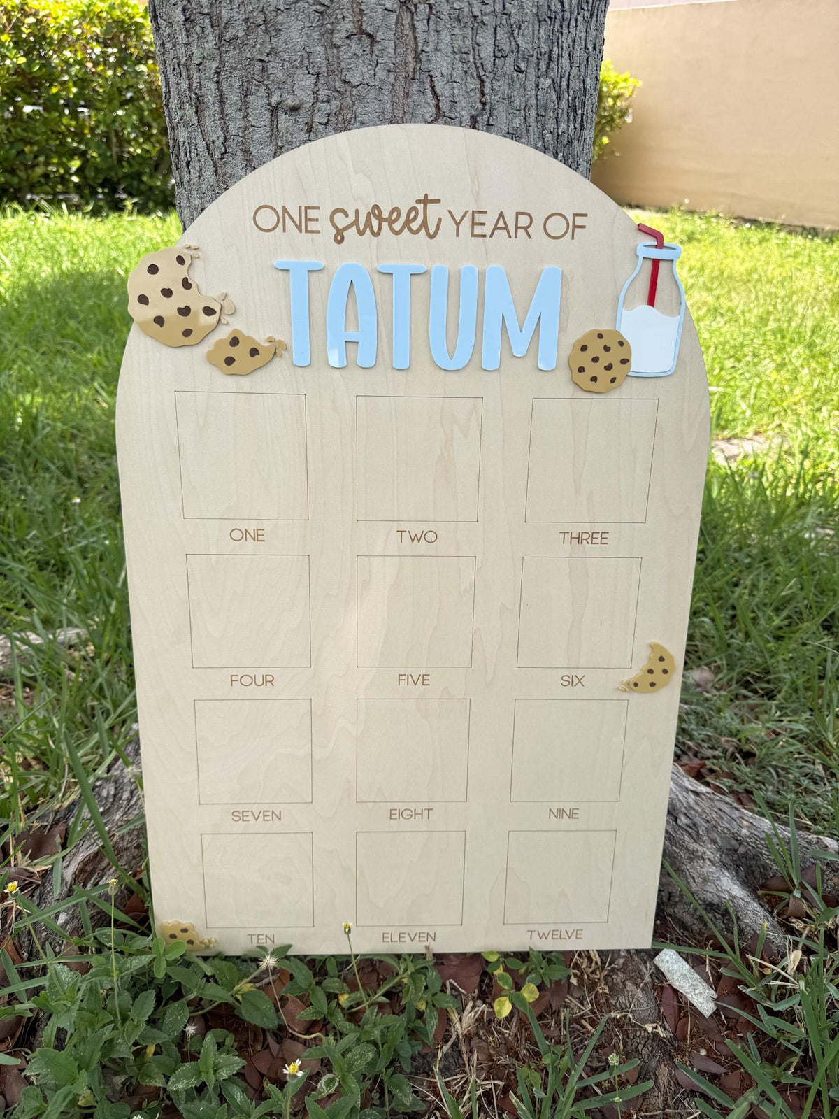 One Sweet Cookie First Birthday Photo Board, Sweet One Boy Birthday Party, One Year of Board Milk & Cookies Decor, One Sweet Year Display