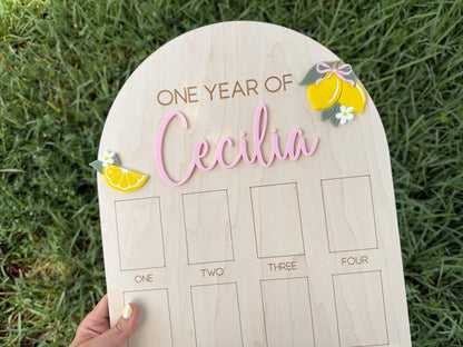 First Year Photo Board, Main Squeeze Lemon First Birthday One Year of Photo Board, Pink Lemonade Birthday decor, Milestone Display