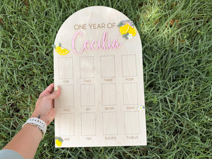 First Year Photo Board, Main Squeeze Lemon First Birthday One Year of Photo Board, Pink Lemonade Birthday decor, Milestone Display