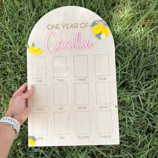 First Year Photo Board, Main Squeeze Lemon First Birthday One Year of Photo Board, Pink Lemonade Birthday decor, Milestone Display