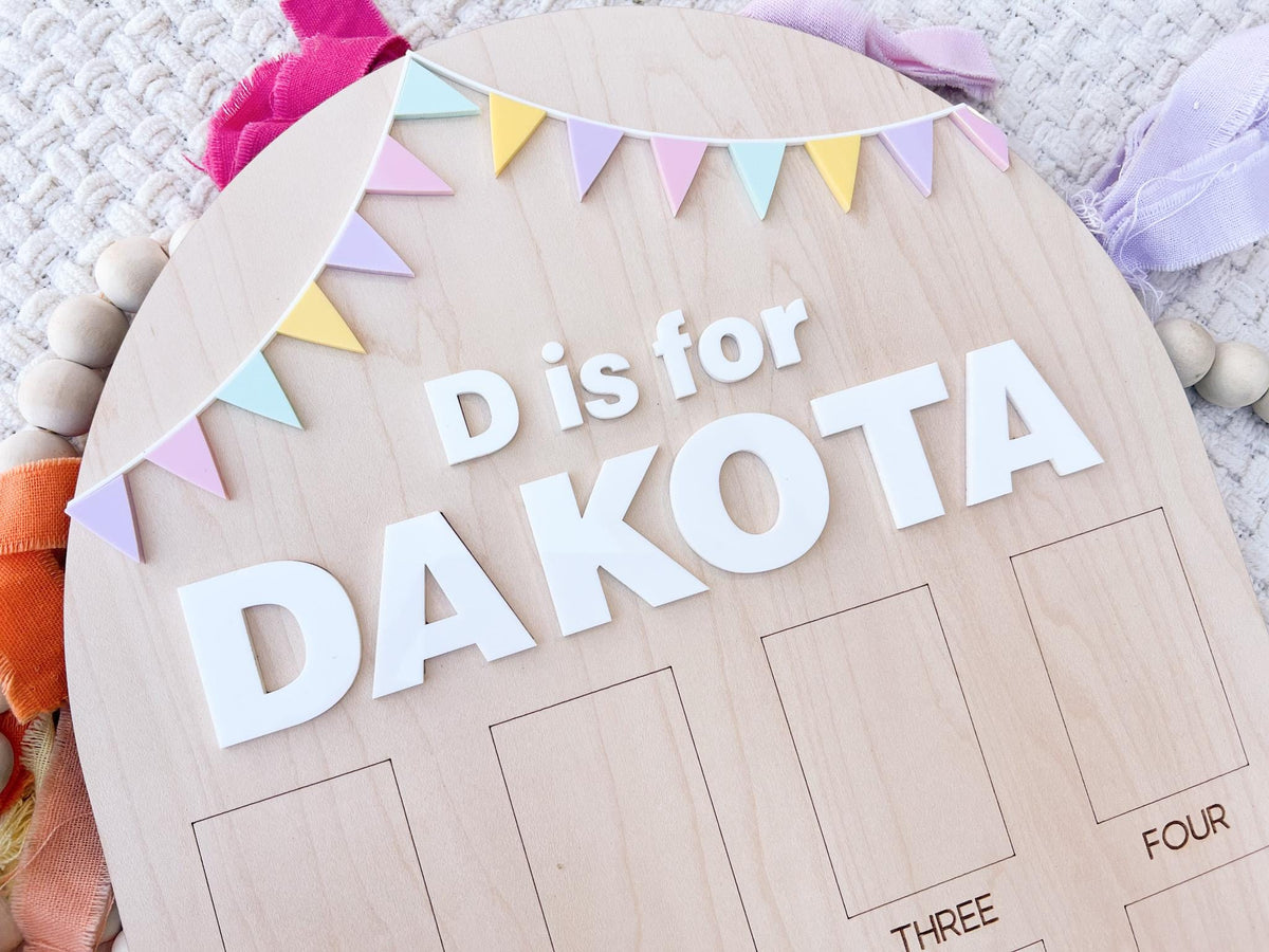 My First year board, One Year of Photo Board, First Birthday Sign Birthday Bunting Banner, First Birthday Decor, Monthly Baby Photo Display
