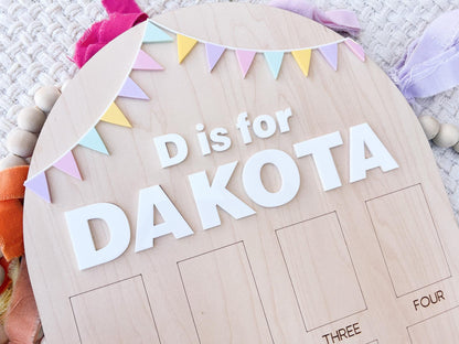 My First year board, One Year of Photo Board, First Birthday Sign Birthday Bunting Banner, First Birthday Decor, Monthly Baby Photo Display