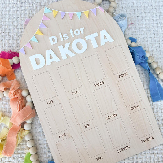 My First year board, One Year of Photo Board, First Birthday Sign Birthday Bunting Banner, First Birthday Decor, Monthly Baby Photo Display