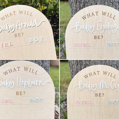 Gender Reveal Voting Board, Boy or Girl Guessing Board, Gender Guessing Game Sign, He or She What Will Baby Be, Gender Reveal Party Ideas