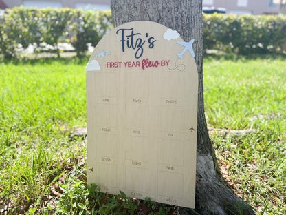 Time Flies First Birthday, Airplane First Year Photo Board, Airplane Birthday Sign, First Year Flew By One Year Photo Board, Airplane Party