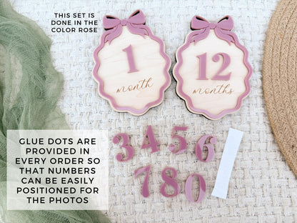 Baby Monthly Milestone Signs, Bow Milestone Cards for Girls, Monthly Baby Photo Props, Milestone Plaques for Babies, Baby Girl Milestone Set