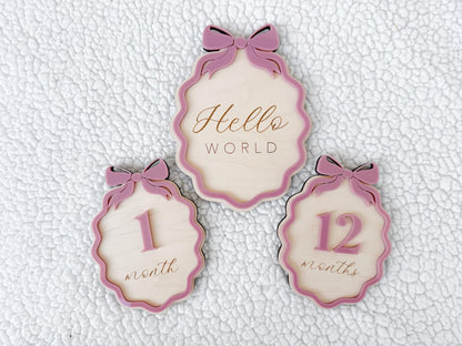 Baby Monthly Milestone Signs, Bow Milestone Cards for Girls, Monthly Baby Photo Props, Milestone Plaques for Babies, Baby Girl Milestone Set