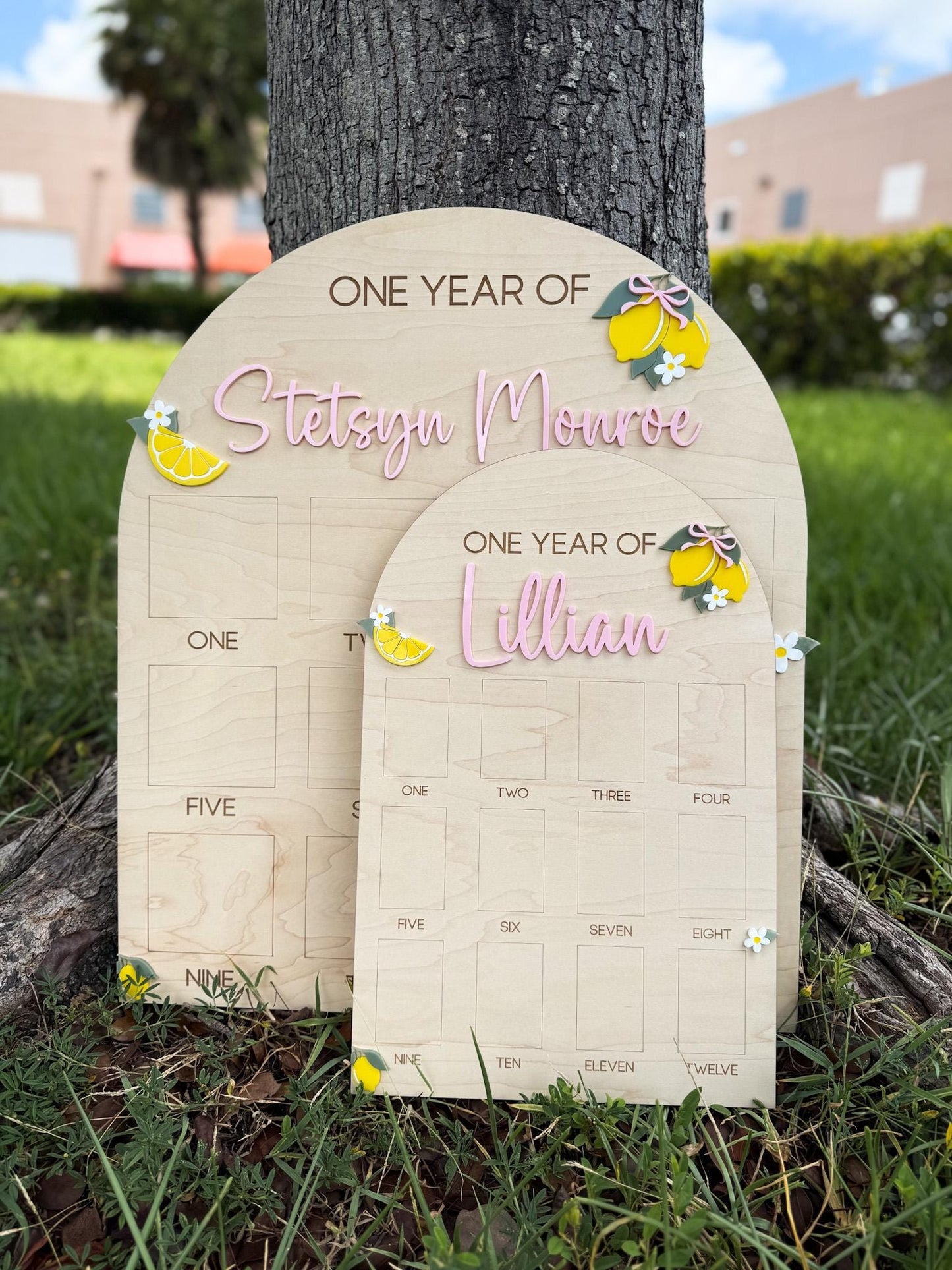 First Year Photo Board, Main Squeeze Lemon First Birthday One Year of Photo Board, Pink Lemonade Birthday decor, Milestone Display