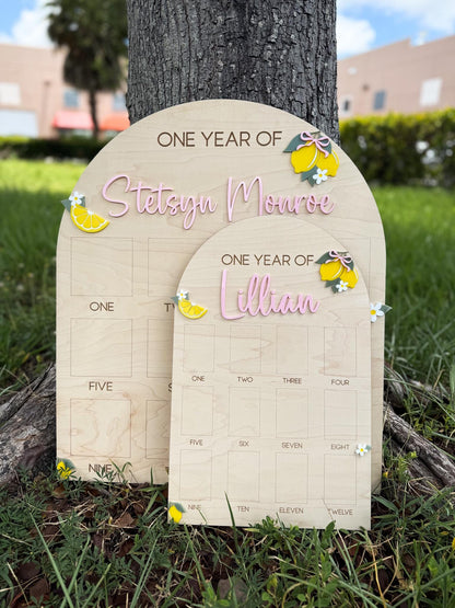 First Year Photo Board, Main Squeeze Lemon First Birthday One Year of Photo Board, Pink Lemonade Birthday decor, Milestone Display
