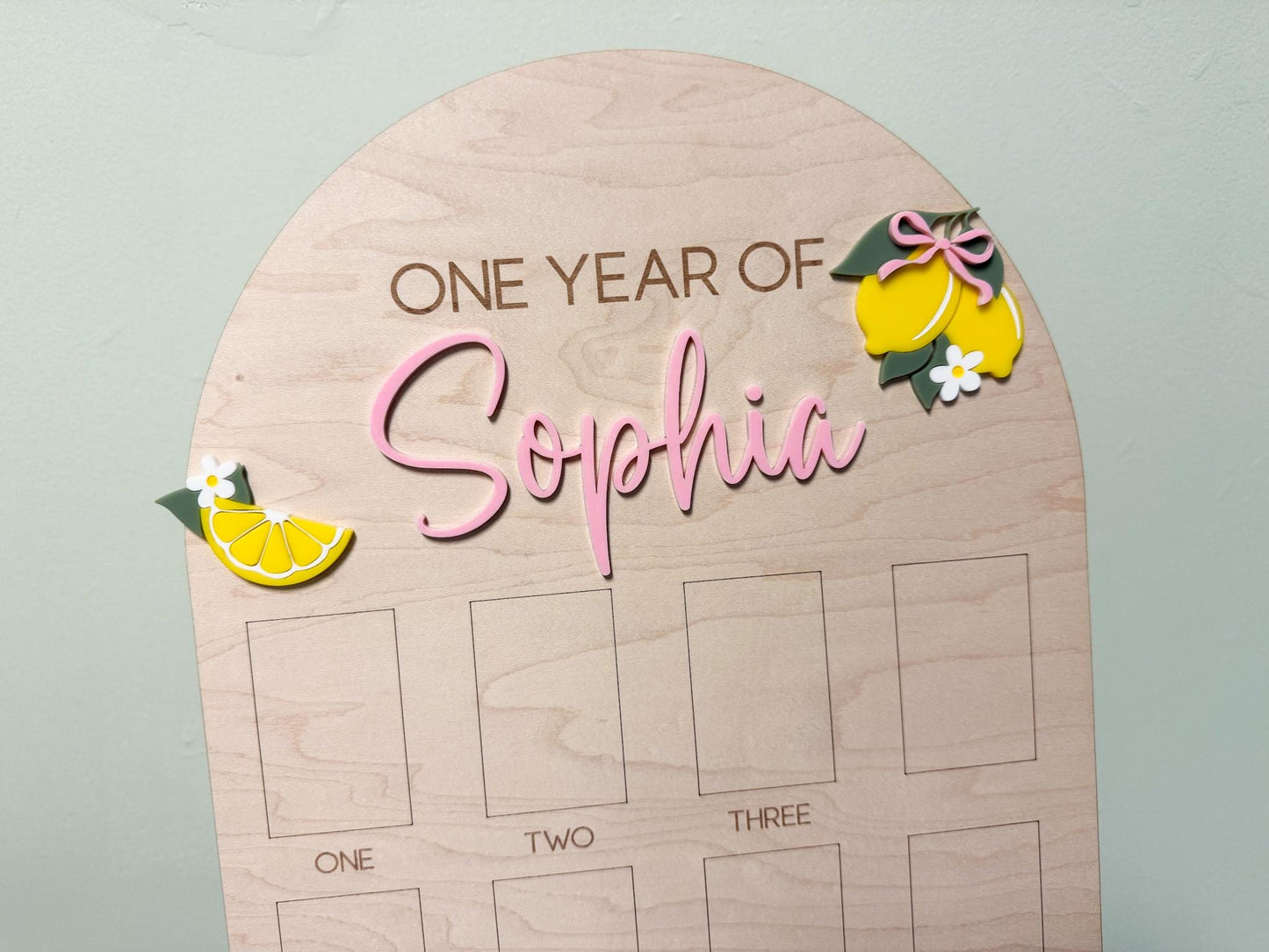 First Year Photo Board, Main Squeeze Lemon First Birthday One Year of Photo Board, Pink Lemonade Birthday decor, Milestone Display