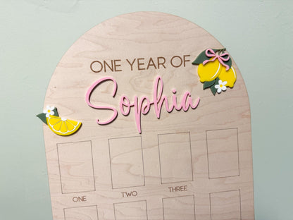 First Year Photo Board, Main Squeeze Lemon First Birthday One Year of Photo Board, Pink Lemonade Birthday decor, Milestone Display