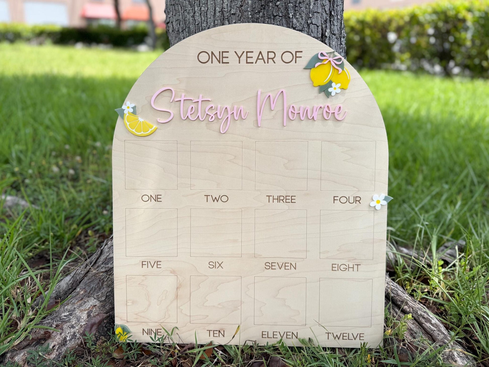 First Year Photo Board, Main Squeeze Lemon First Birthday One Year of Photo Board, Pink Lemonade Birthday decor, Milestone Display