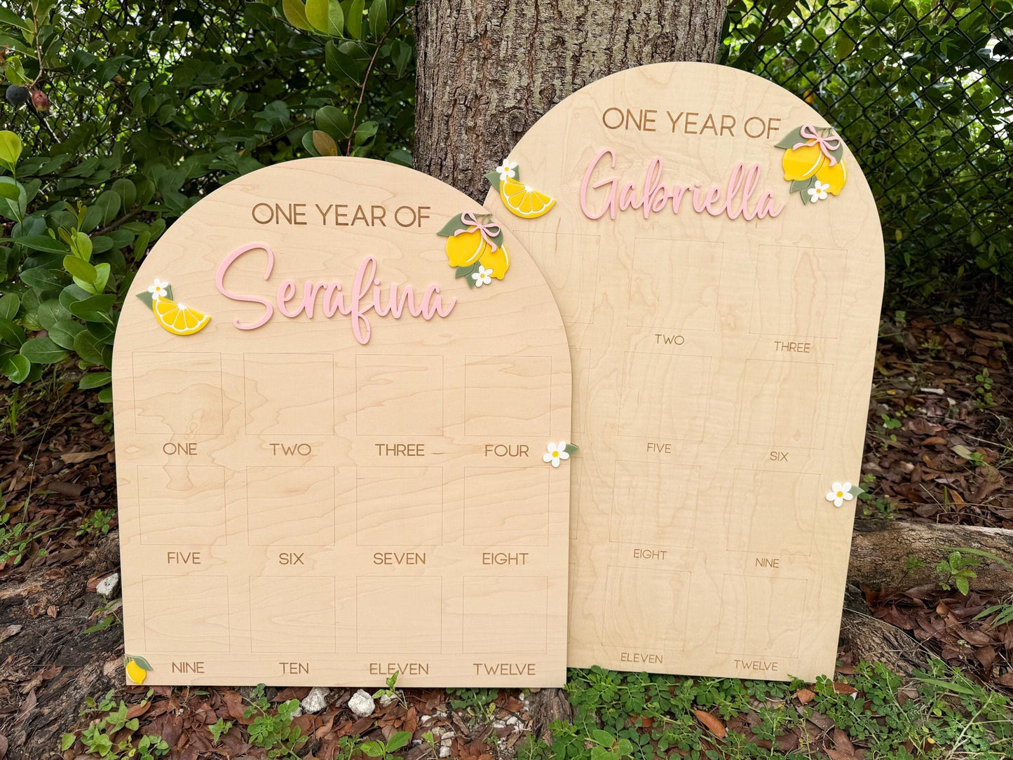 First Year Photo Board, Main Squeeze Lemon First Birthday One Year of Photo Board, Pink Lemonade Birthday decor, Milestone Display