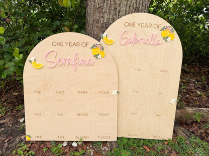 First Year Photo Board, Main Squeeze Lemon First Birthday One Year of Photo Board, Pink Lemonade Birthday decor, Milestone Display