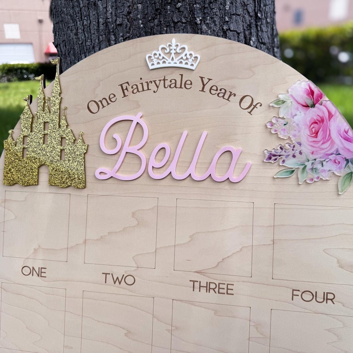 One Year of Photo Board, Princess First Year Board, Fairytale First Birthday, Baby Girl Monthly Milestone Photo Display, Once Upon A Time