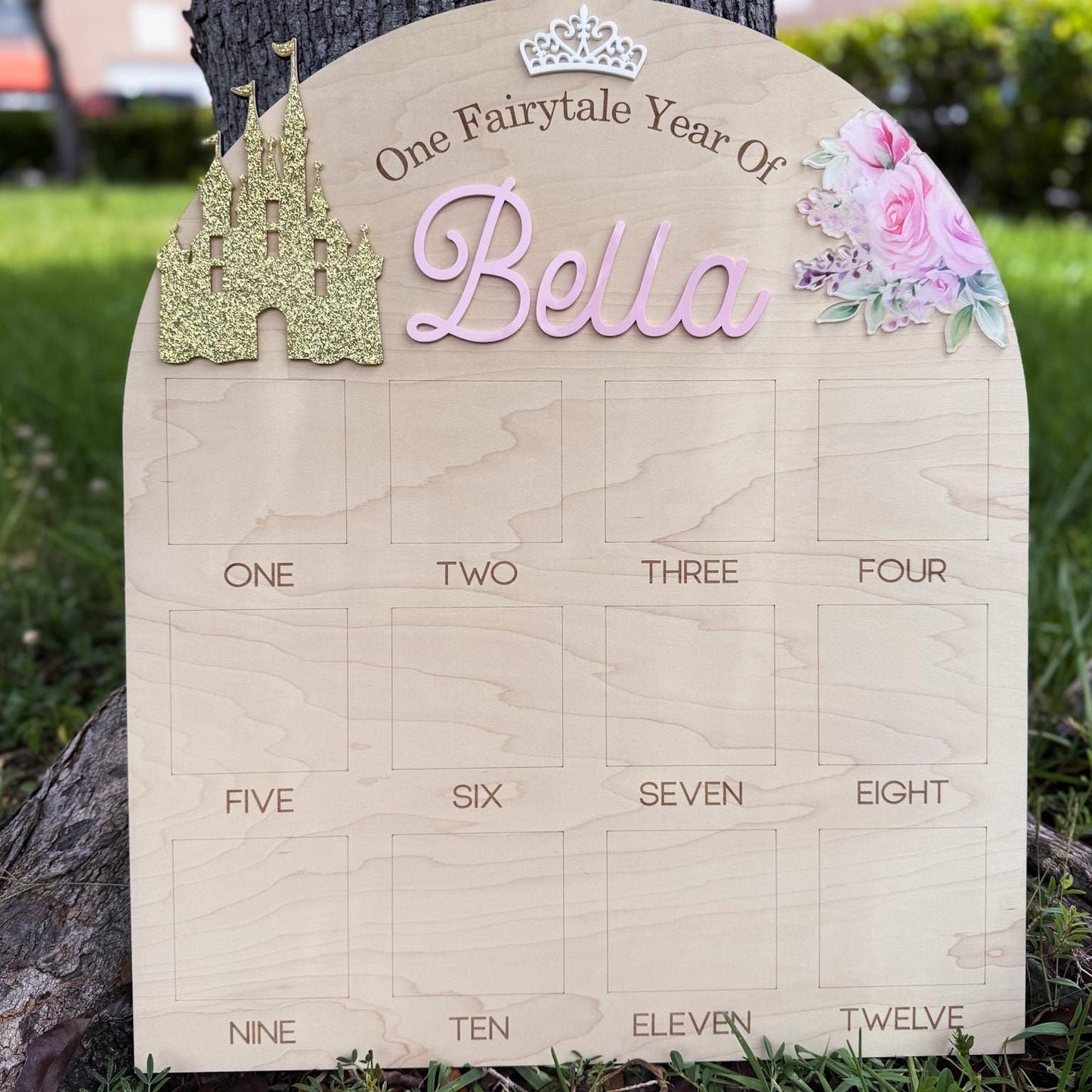 One Year of Photo Board, Princess First Year Board, Fairytale First Birthday, Baby Girl Monthly Milestone Photo Display, Once Upon A Time
