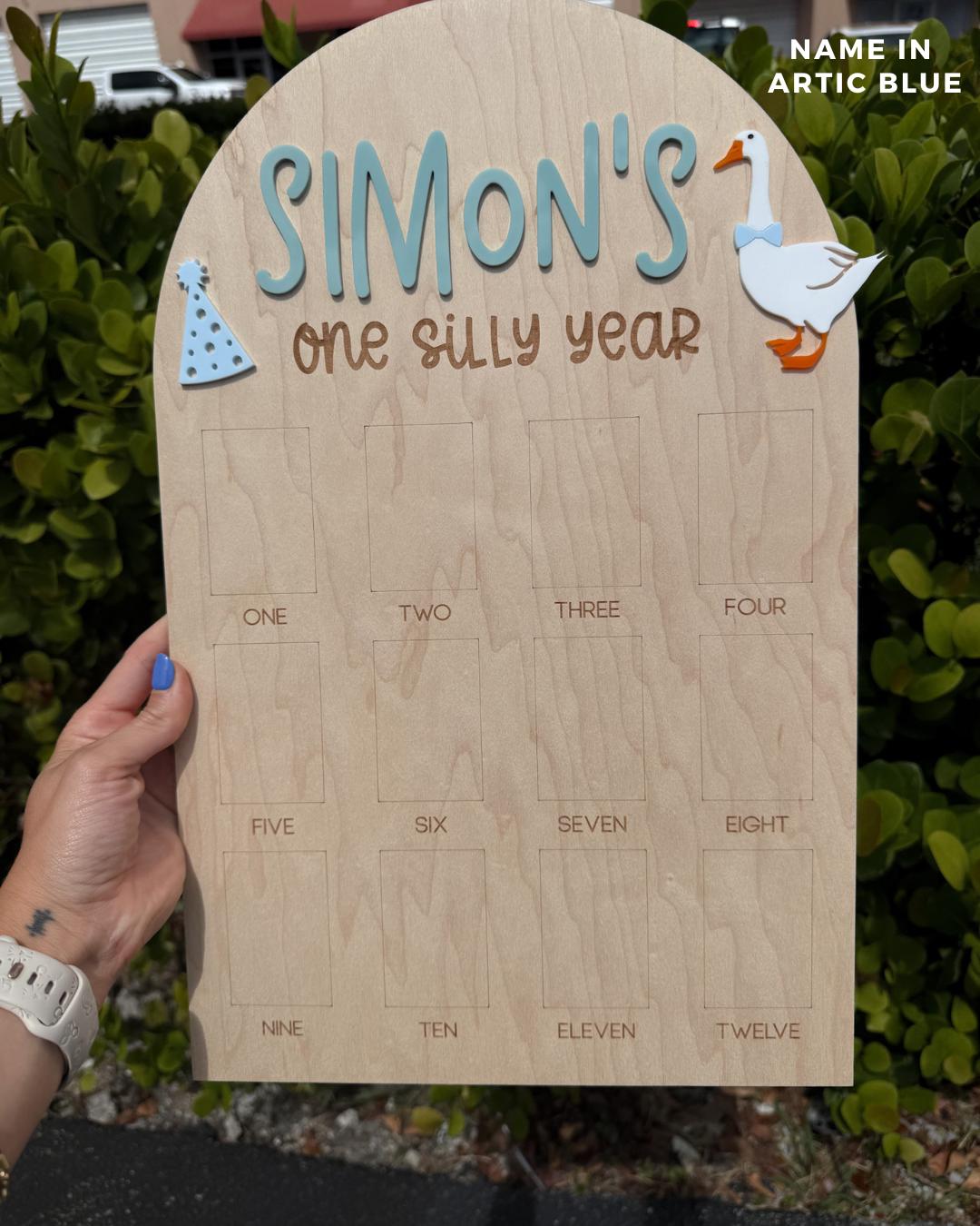 One Silly Goose First Birthday Photo Board, One Silly Year First Birthday, One Year Of Vintage Goose Milestone Sign First Year Photo Display