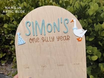 One Silly Goose First Birthday Photo Board, One Silly Year First Birthday, One Year Of Vintage Goose Milestone Sign First Year Photo Display