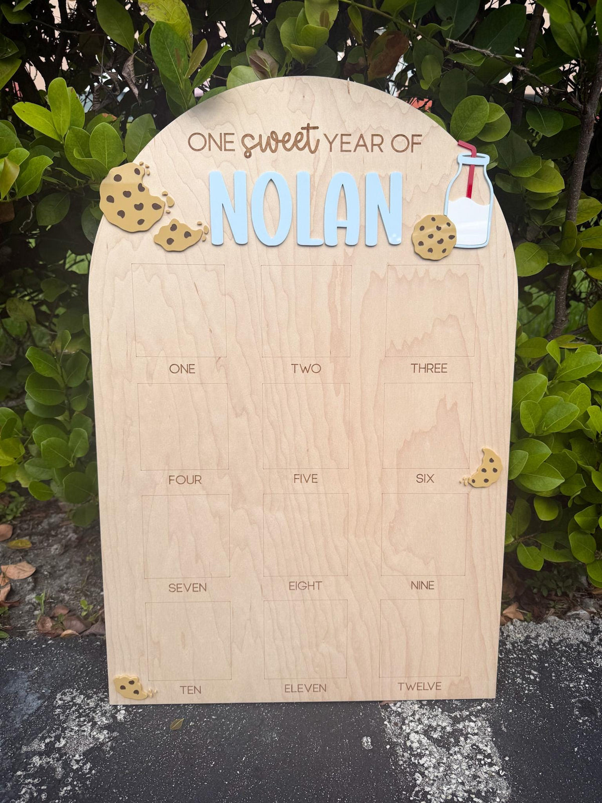 One Sweet Cookie First Birthday Photo Board, Sweet One Boy Birthday Party, One Year of Board Milk & Cookies Decor, One Sweet Year Display