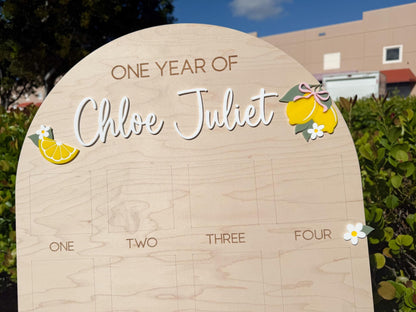 First Year Photo Board, Main Squeeze Lemon First Birthday One Year of Photo Board, Pink Lemonade Birthday decor, Milestone Display