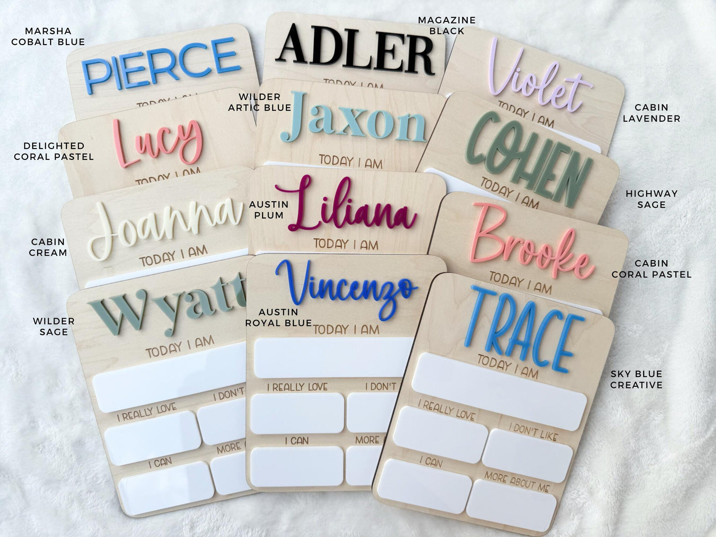 Baby Monthly Milestone Board