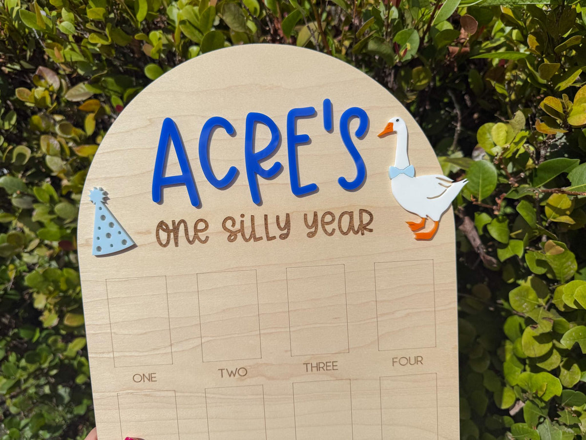 One Silly Goose First Birthday Photo Board, One Silly Year First Birthday, One Year Of Vintage Goose Milestone Sign First Year Photo Display