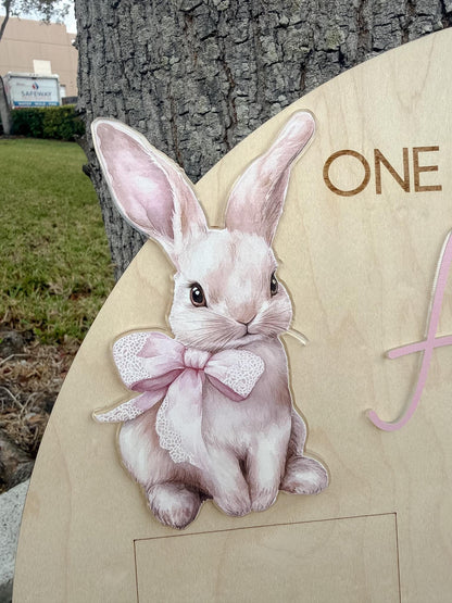 Bunny First Birthday Milestone Board, One Hoppy Year Photo Board, Some Bunny Is One Party Decor, Floral Girl 1st Birthday Sign