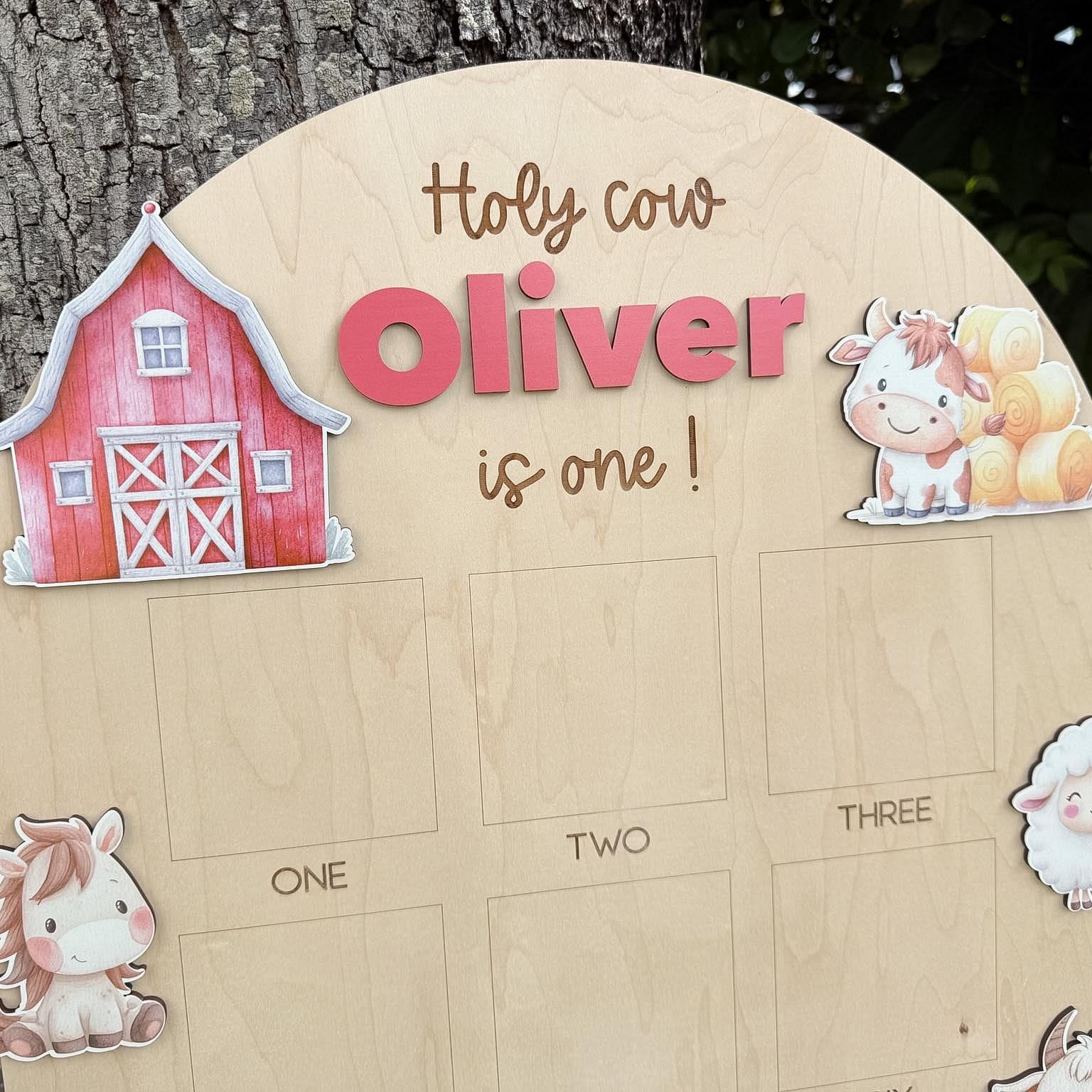 Holy Cow First Birthday Photo Board, Farm Theme Monthly Milestone Picture Board, My First Year Birthday Party Decor, Farm Theme 1st Birthday