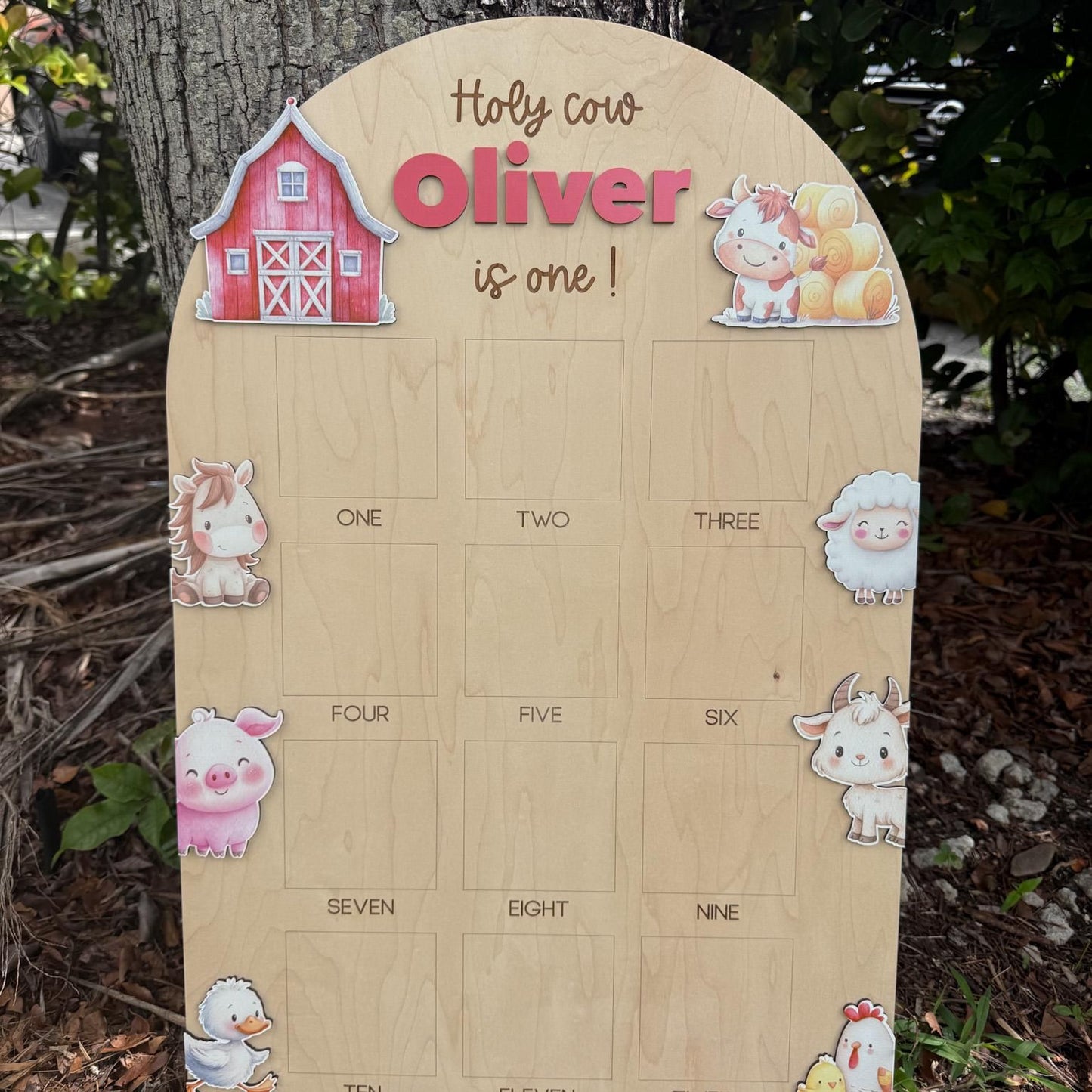 Holy Cow First Birthday Photo Board, Farm Theme Monthly Milestone Picture Board, My First Year Birthday Party Decor, Farm Theme 1st Birthday
