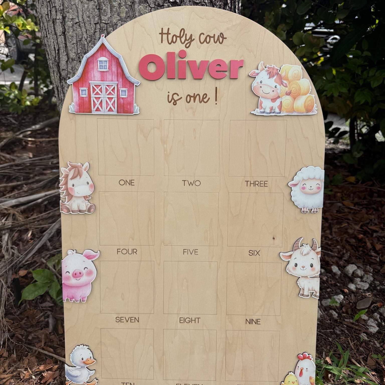 Holy Cow First Birthday Photo Board, Farm Theme Monthly Milestone Picture Board, My First Year Birthday Party Decor, Farm Theme 1st Birthday