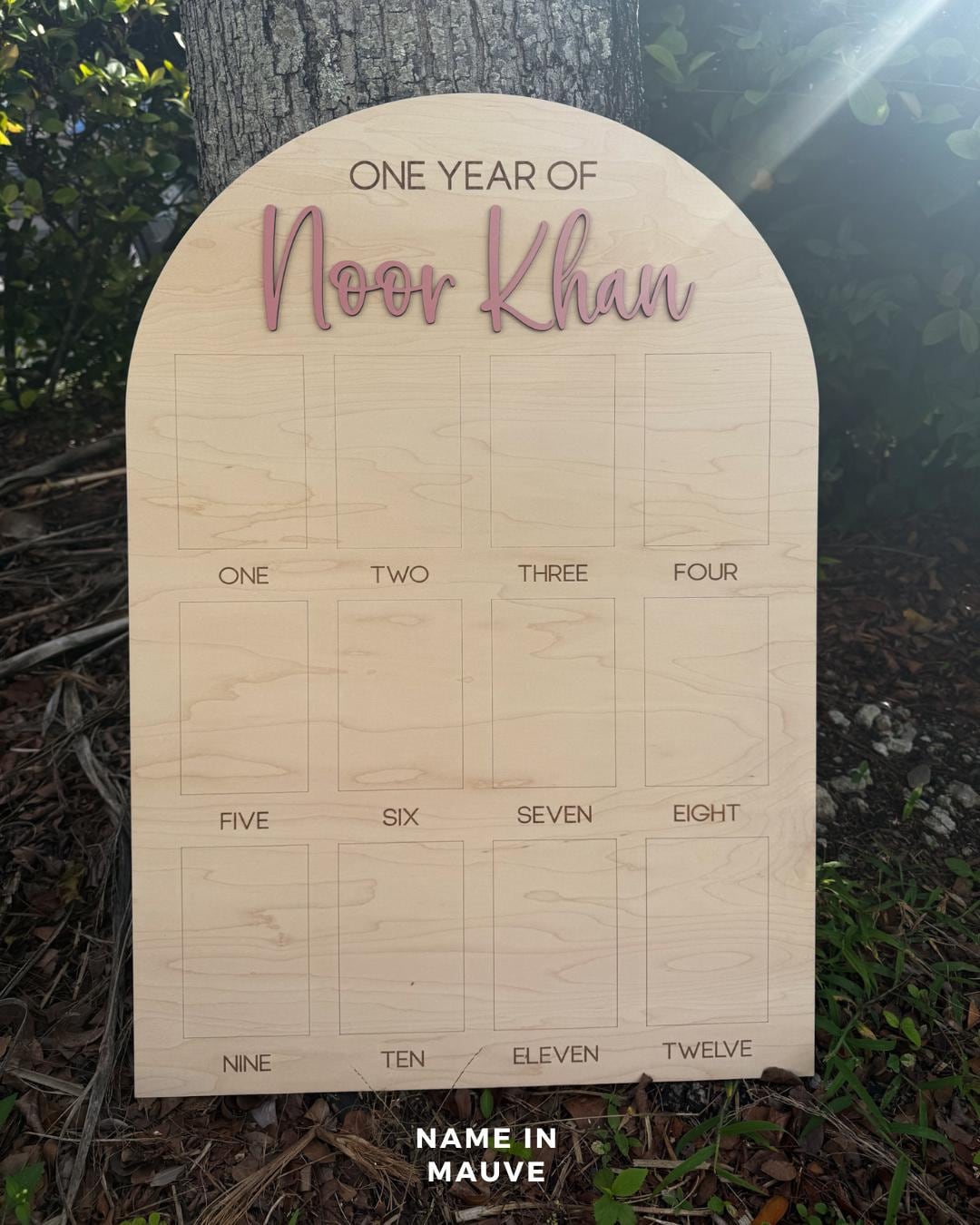 My First Year Board, One Year of Photo Board, First Year Board, First Birthday Decor, Baby's my first year sign 4x6, One Year Old Birthday
